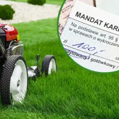 Kosiarka na zielonym trawniku i mandat karny. Czy 1 maja można kosic trawe? Mandat sugeruje, że nie zawsze.