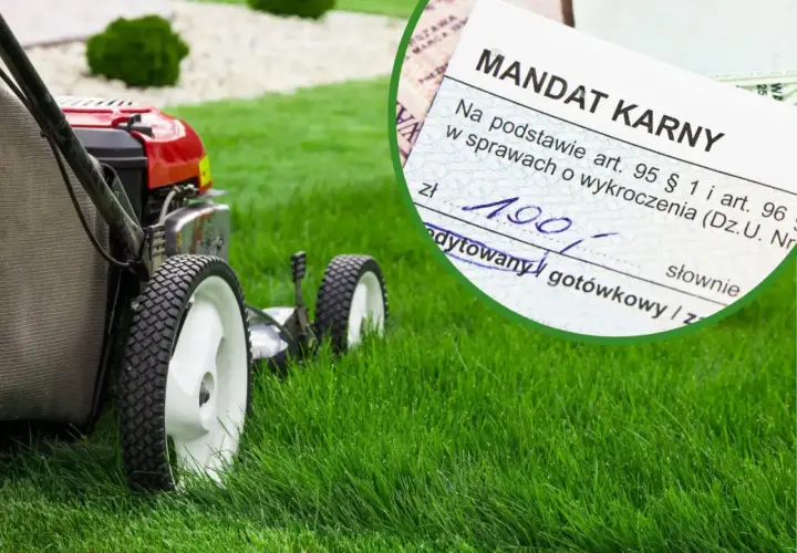 Kosiarka na zielonym trawniku i mandat karny. Czy 1 maja można kosic trawe? Mandat sugeruje, że nie zawsze.