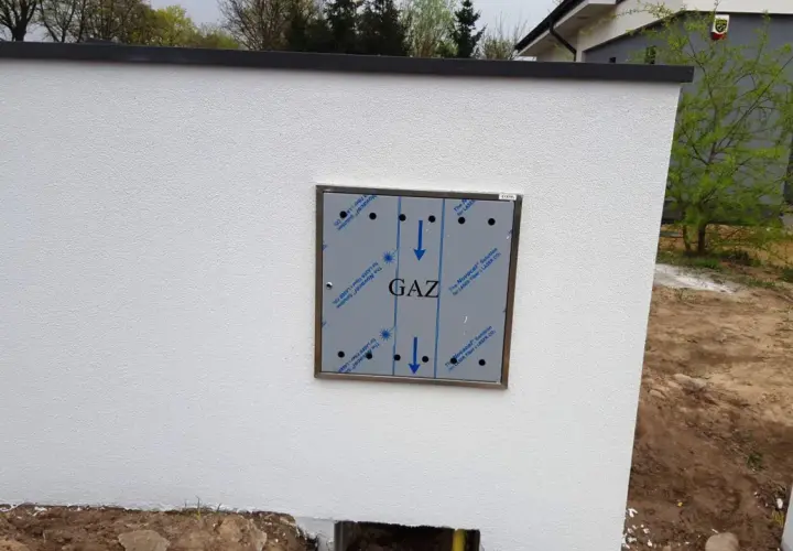 Metalowa skrzynka gazowa z napisem "GAZ" zamontowana na białej ścianie, obok niej rośnie młode drzewko.