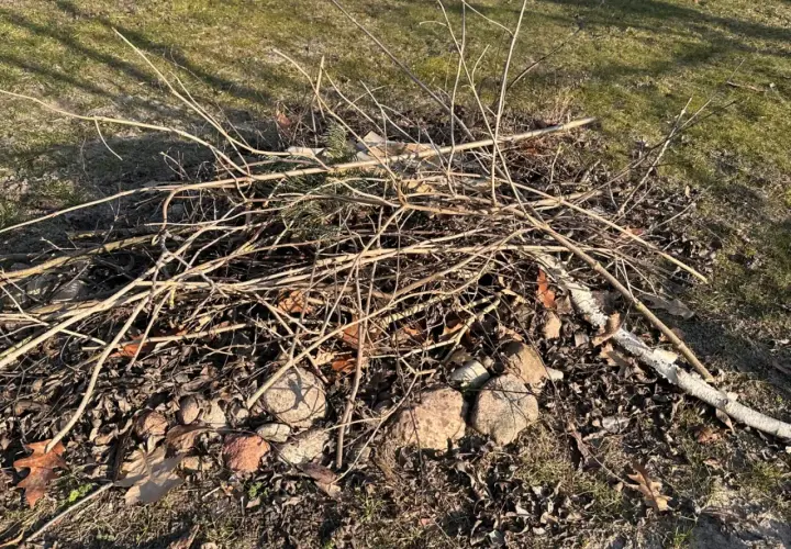 Kupa suchych gałęzi i liści na trawie, gotowa do rozpalenia ogniska. Czy można palić gałęzie na wsi? To zależy od przepisów.