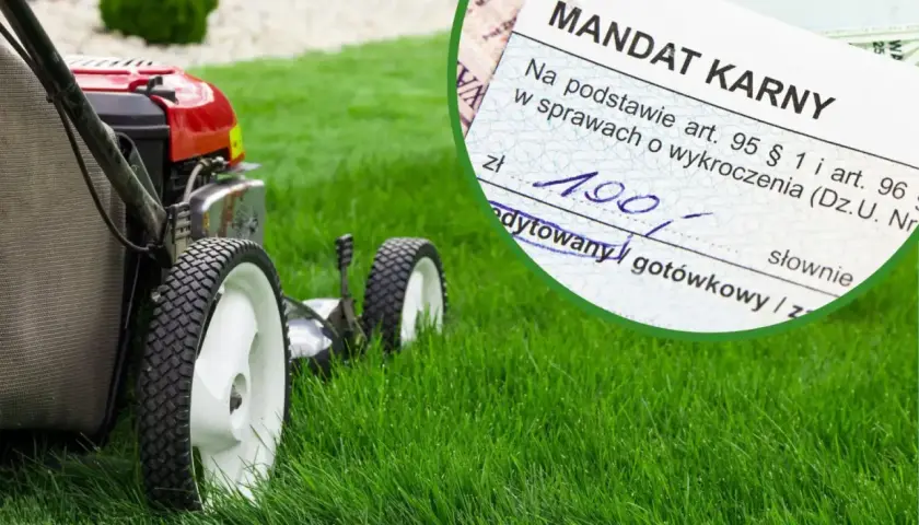 Kosiarka na zielonym trawniku i mandat karny. Czy 1 maja można kosic trawe? Mandat sugeruje, że nie zawsze.