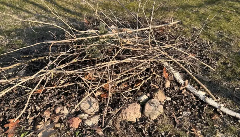 Kupa suchych gałęzi i liści na trawie, gotowa do rozpalenia ogniska. Czy można palić gałęzie na wsi? To zależy od przepisów.