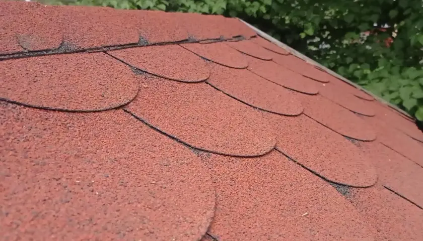 Czerwony gont bitumiczny na dachu. Czy gont bitumiczny można kłaść na deski? Tak, to popularne rozwiązanie.