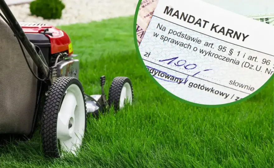 Koszenie trawy 1 maja - czy grozi mandat? Prawo i sąsiedzi