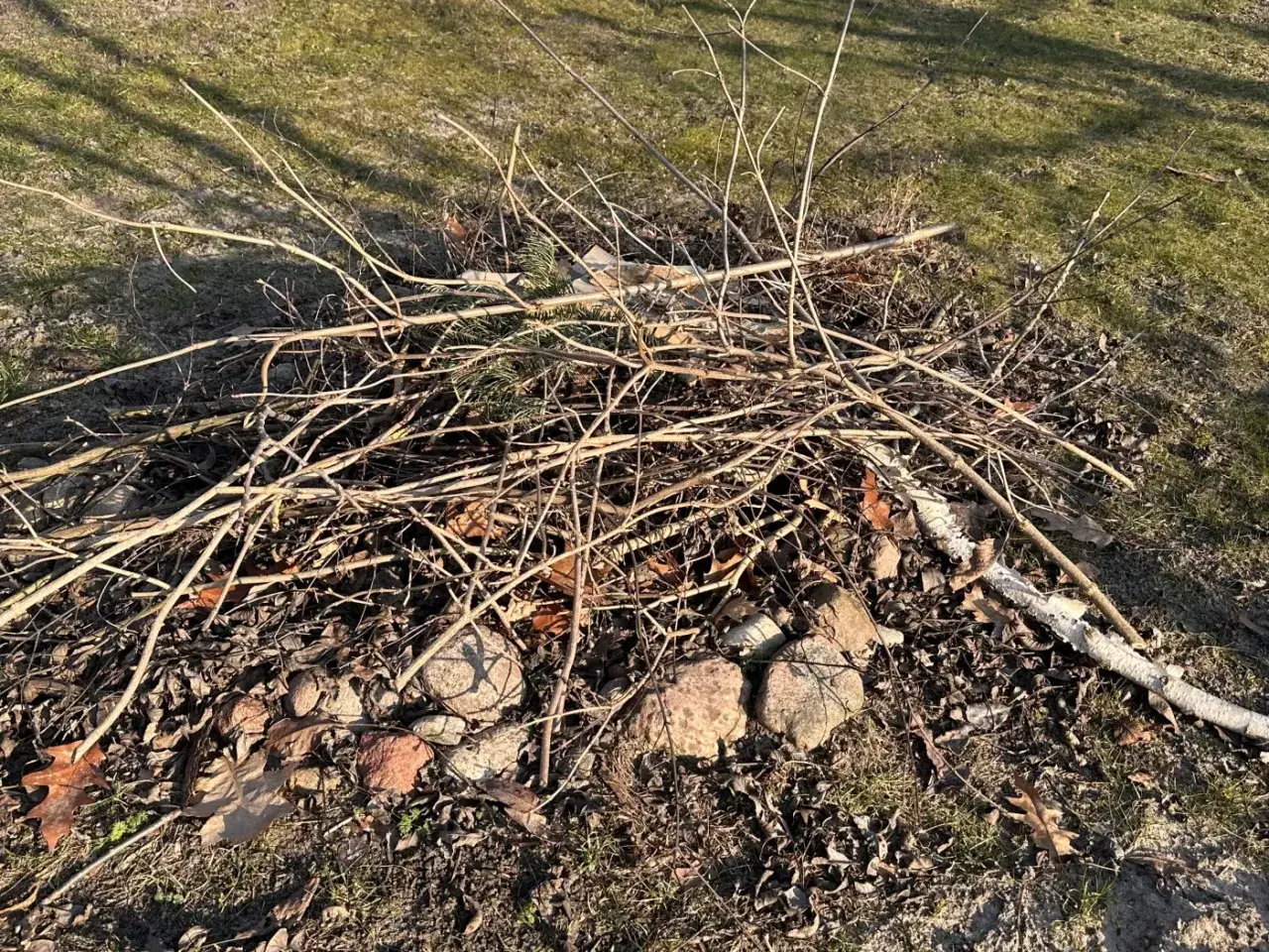 Kupa suchych gałęzi i liści na trawie, gotowa do rozpalenia ogniska. Czy można palić gałęzie na wsi? To zależy od przepisów.