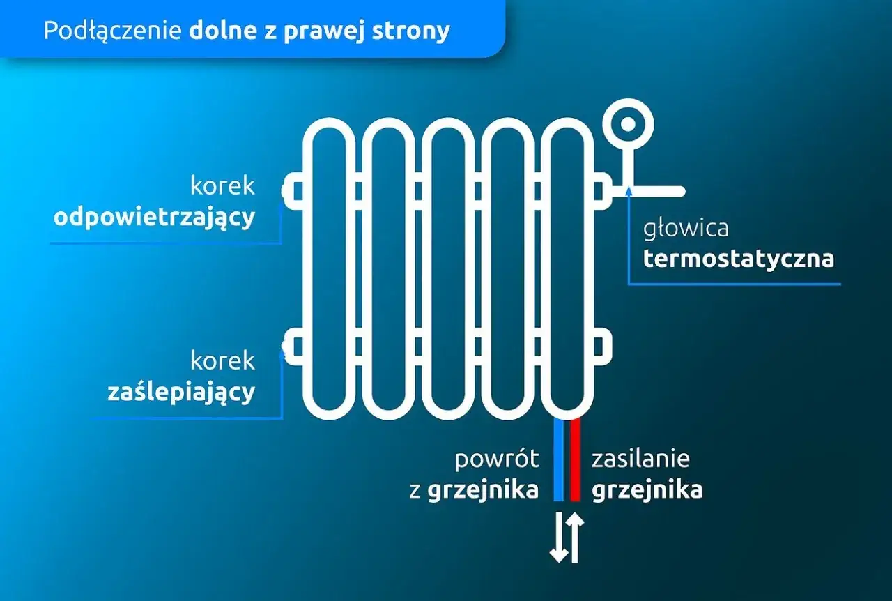 Schemat podłączenia grzejnika od dołu z prawej strony: głowica termostatyczna, korek odpowietrzający i zaślepiający, zasilanie i powrót.