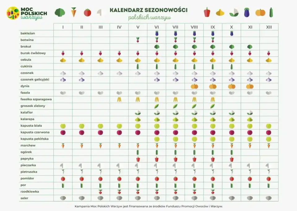 Kiedy siać marchew do gruntu? Terminy i zasady udanego siewu